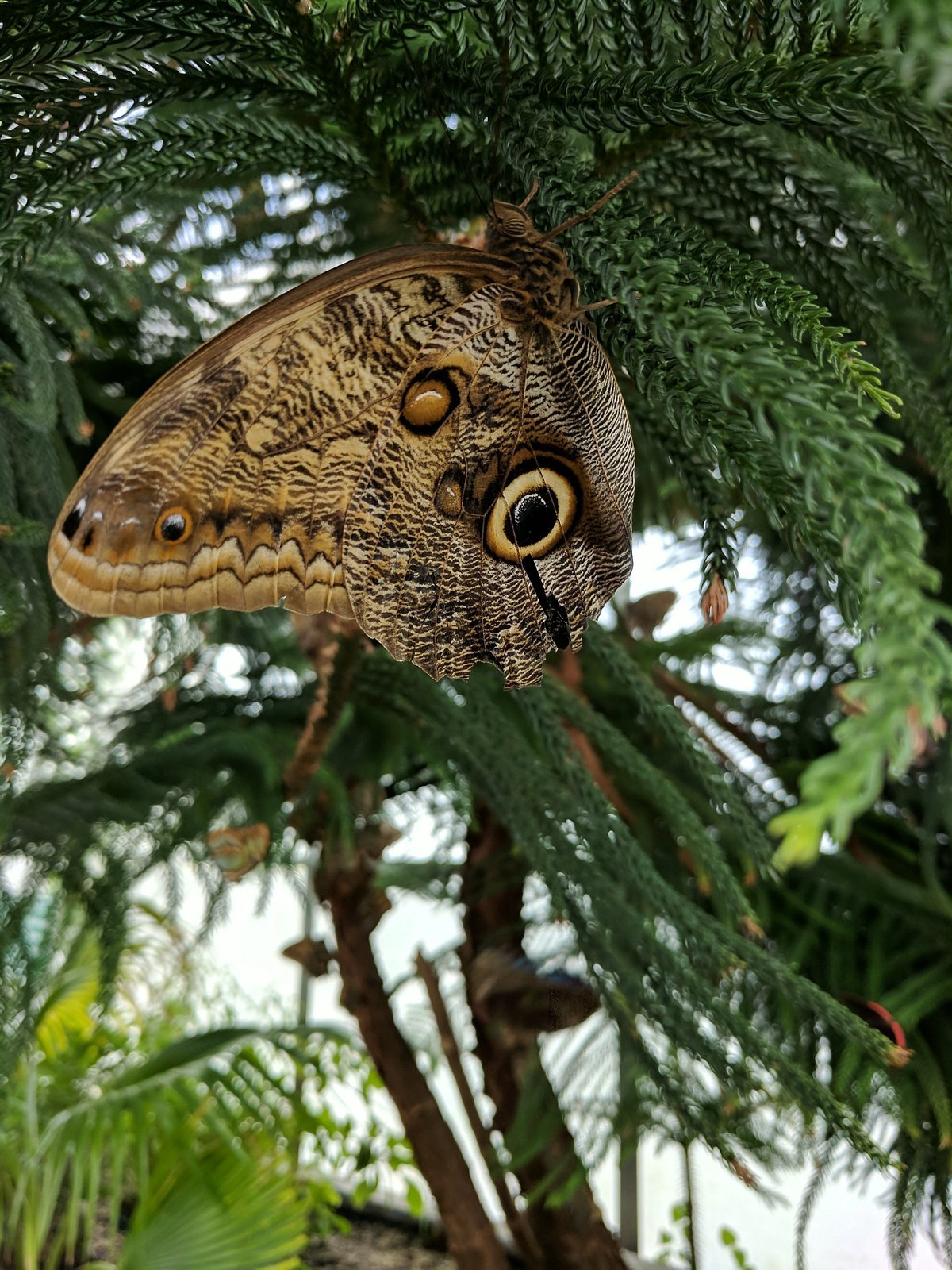 📖 오요도강 학습관 (오요도가와가쿠슈칸) 이미지 4